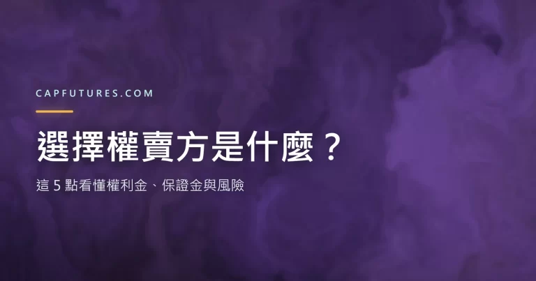 選擇權賣方示意圖：權利金、保證金與風險對照